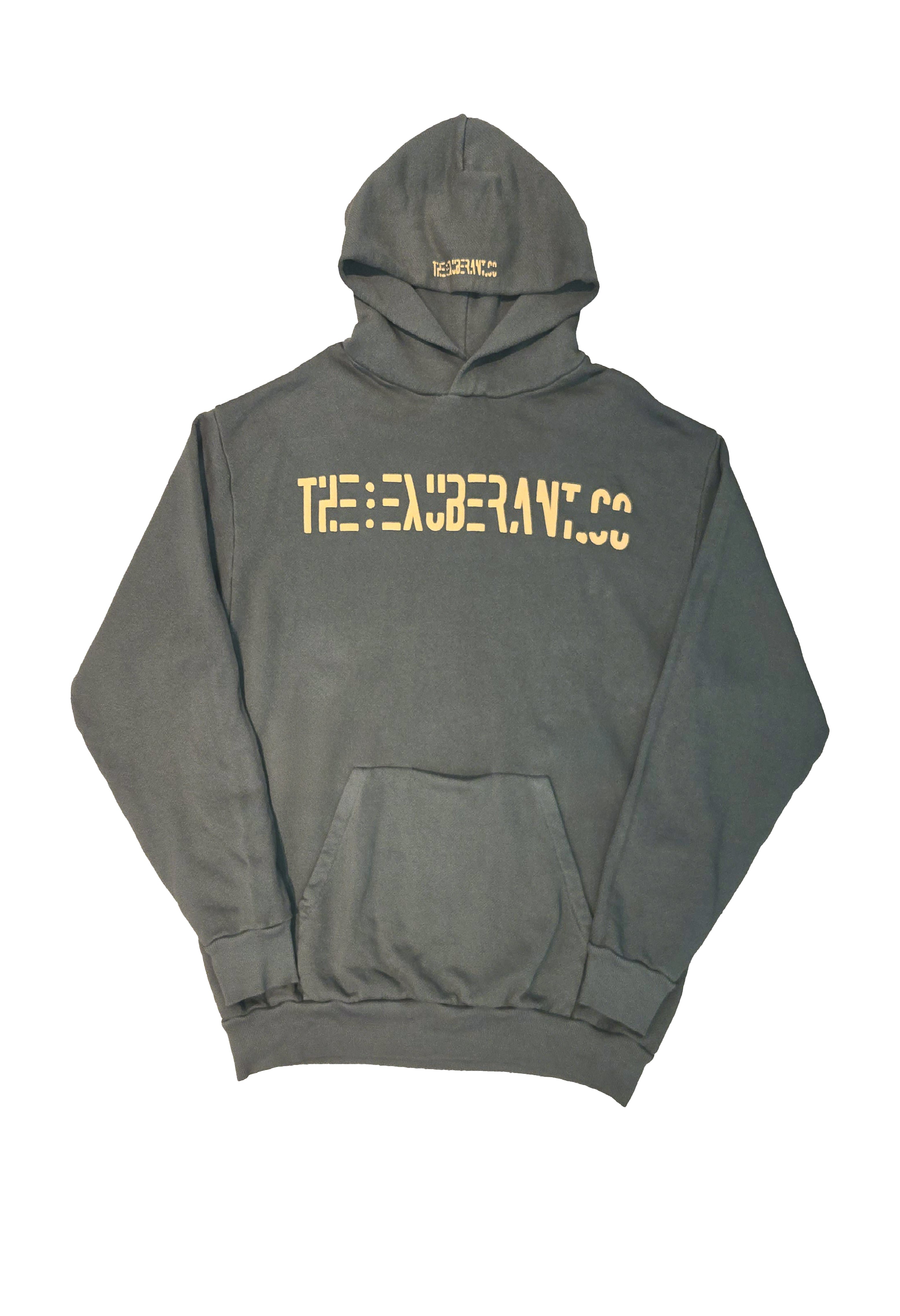 Printed French Terry Hoodie w/Mini Pocket Built-In a Kangaroo Pocket (Olive)